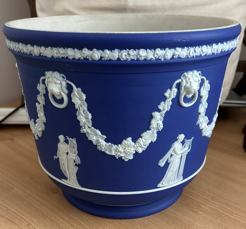 Wedgewood blue white plant - white,