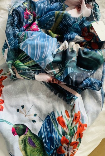Gorgeous tropical bird blue - gorgeous,