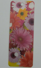 Flowers!!!  Hologram 3D