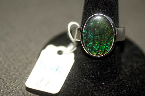 Ammolite aaa 16mm 12mm oval - 16mm,