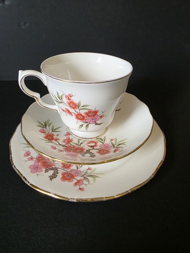 Vintage royal kent bone china - kent,