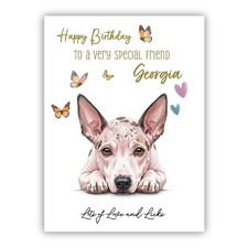 American Hairless Terrier