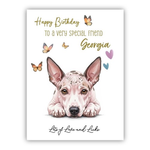 American hairless terrier - american,