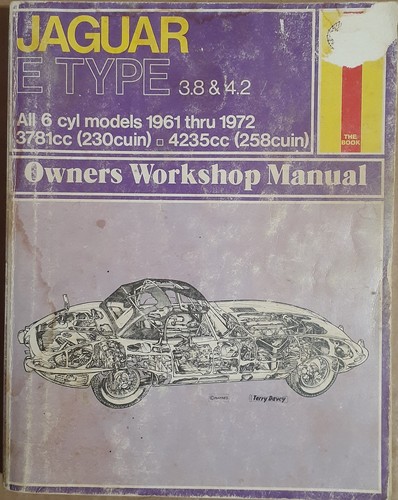 Hayne jaguar type - jaguar,