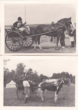 2 OLD PHOTO PEOPLE HORSE PONY TRAP CARRIAGE RACE ANIMAL CE 252