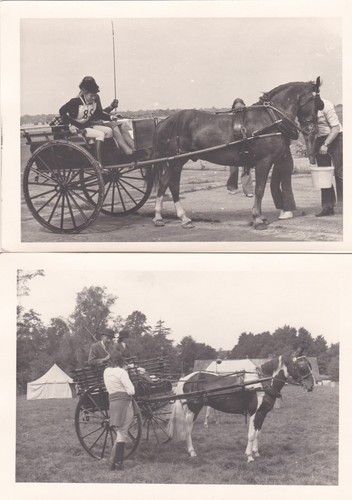 Old photo people - old, horse