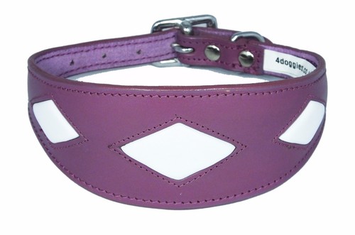 Padded dog afghan collar - afghan,