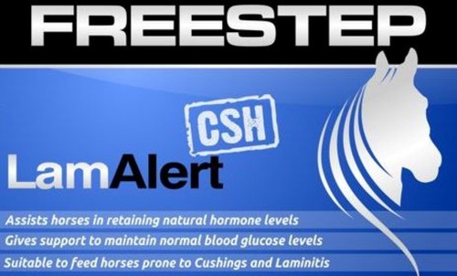 Freestep lamalert csh horse - lamalert,