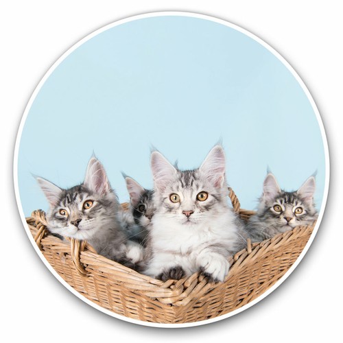 Vinyl stickers 15cm cute - stickers,