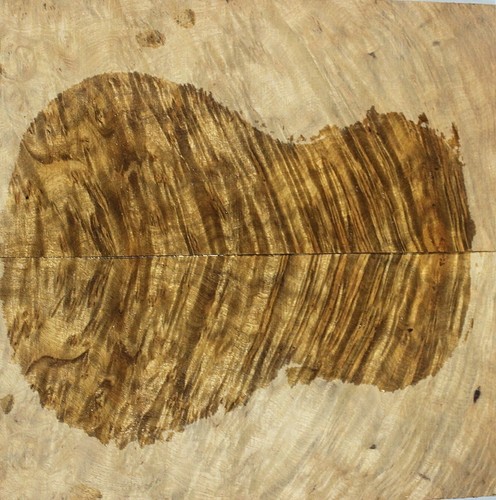 Ukulele tonewood back - ukulele,