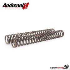 Andreani set front fork