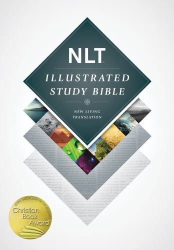 Illustrated study bible - illustrated,