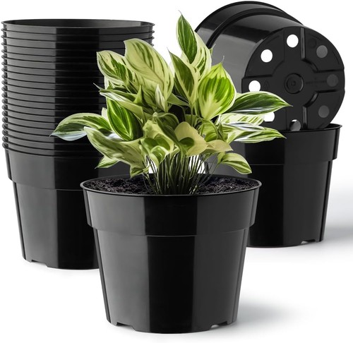 Pack plant pots inch - 20, 6