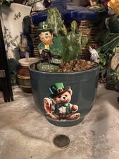 Cactus houseplant free - in,