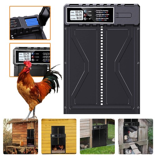 Automatic chicken coop door - chicken,