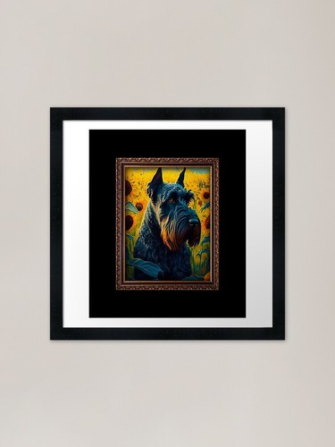 Giant schnauzer sunflower - giant,