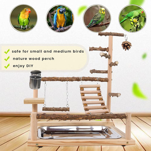 Bird playground parrot - bird,