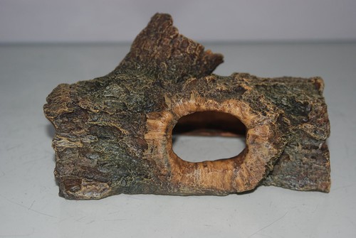 Aquarium hollow trunk log - aquarium,
