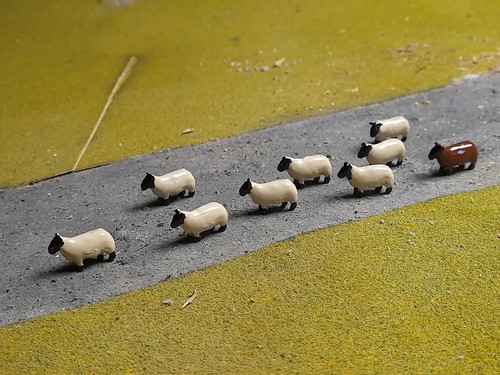 Model sheep clarksons - model,