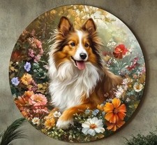 SHELTIE Shetland Rough Collie