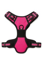 REFLECTIVE NO-PULL NYLON DOG