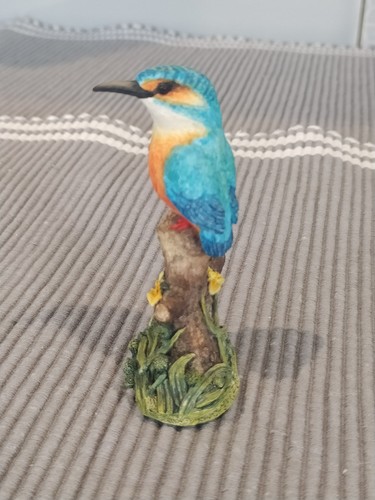 Border fine arts kingfisher - fine,