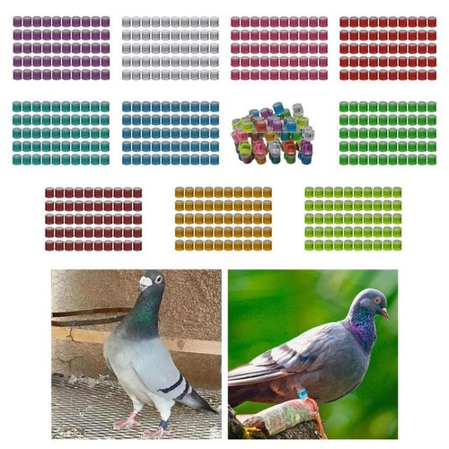 50pcs racing pigeon leg rings - 50pcs,