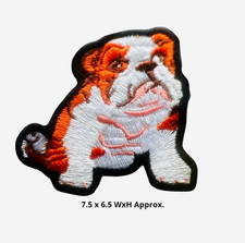 Sitting Bulldog Puppy English