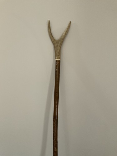 Stag horn hazel - horn, thumb