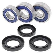 SP 1039858 Rear Wheel Bearing