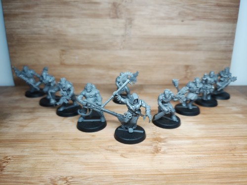 Sect anarkus chaos - sect,