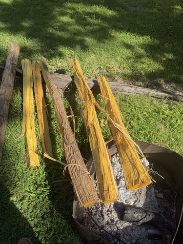 Osage orange bow staves - bow, (bois