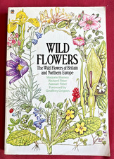 Wild Flowers of Britain & Northern Europe ~ Marjorie Blamey ~ PB ~ 1981