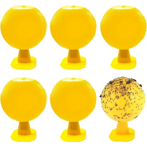 Pack indoor fly sticky - indoor,