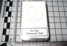 Pleistocene ice age woolly