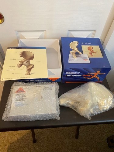 Merck vioxx hip model anatomic - vioxx,