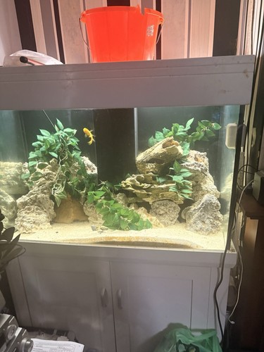 Gal glass freshwater - 90,