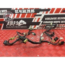 Yamaha XT 660 X 2004 to 2016