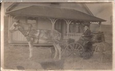 Woman Driver Single Horse