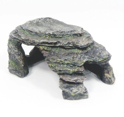 Aquarium vivarium fish tank - fish,