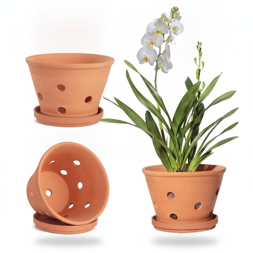 Terracotta orchid pots 15cm - orchid,