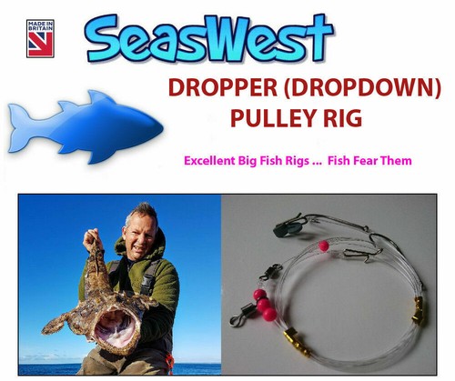 Drop down pulley rig - down,