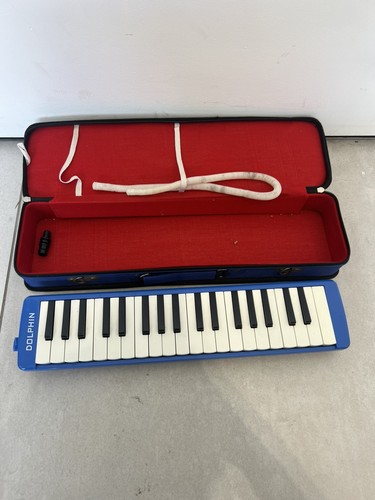 Dolphin melodica melodiker - melodica, /