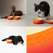 Dog Cat Food Bowl Pet All Breeds Sizes Water Saucer Ceramic Sleek Ombre Orange