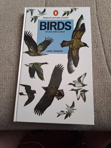 Birds sea and coast lars - and,