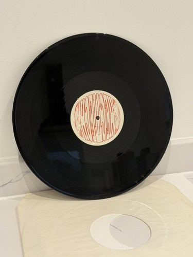 Mental hecthech record died - record,
