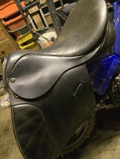 Derby House Saddlery Cob