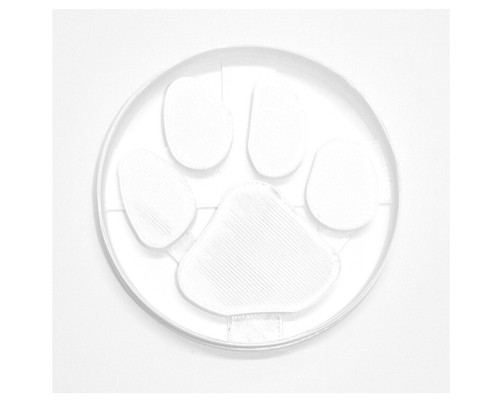 Tiger cat paw print - tiger, pawprint