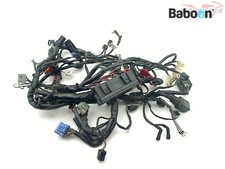 Wiring Harness (Main) Honda