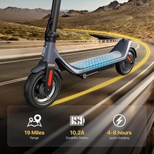 10 Inch 350W Adult E-Scooter